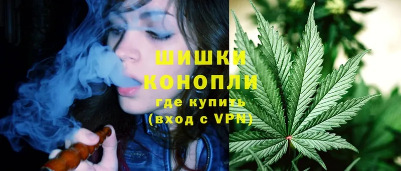 дарк нет как зайти  Козловка  Марихуана OG Kush  что такое  